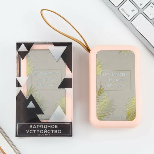Зарядное устройство Harmony 5000мА мод PB-02 104 х 64 см 2351₽