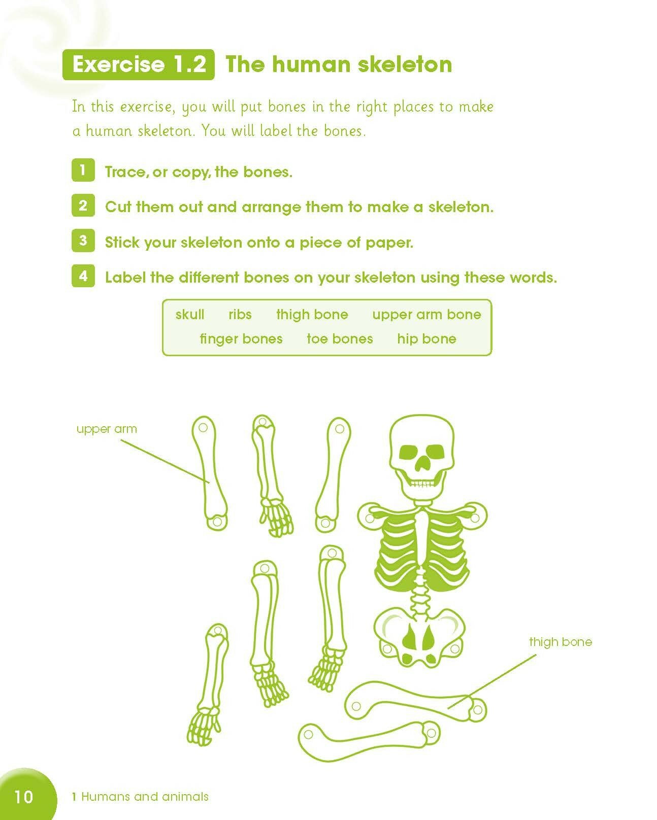 Cambridge Primary Science. Level 4. Activity Book - фото №9