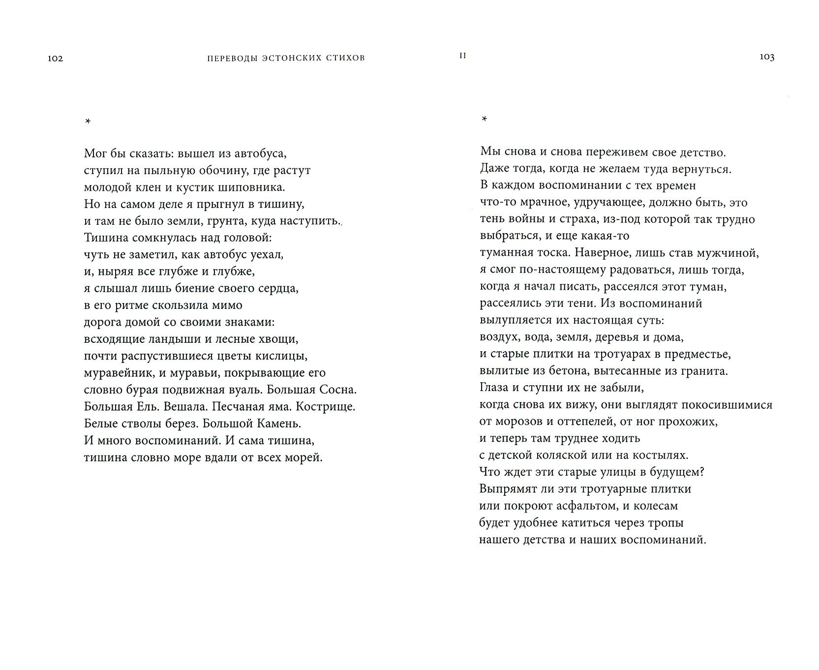 Наши тени так длинны. Стихотворения и переводы - фото №2
