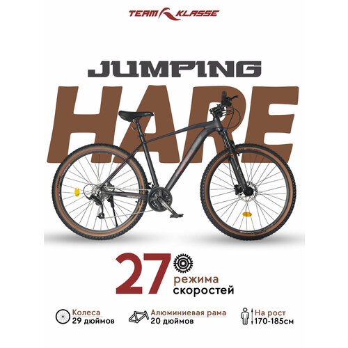 Горный велосипед Team Klasse B-2-A черный красный 29 3479900₽
