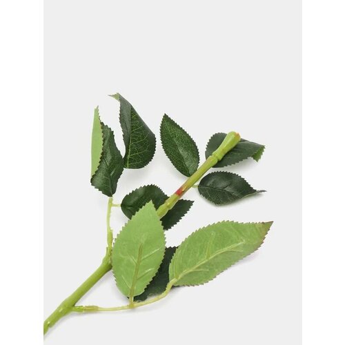 Стебель флористический с шипами для цветов из мыльных роз 70 см 499₽