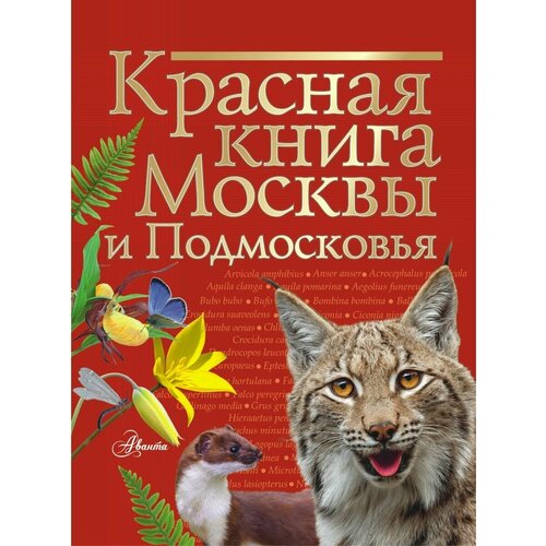 Красная книга Москвы и Подмосковья мигунова е я красная книга планеты для детей редкие и исчезающие виды дикой природы