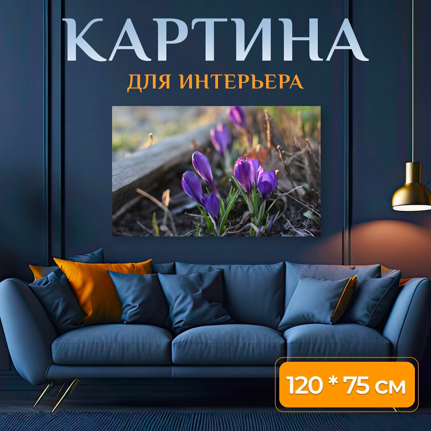 Картина на холсте "Крокус, крокусы, цветы" на подрамнике 120х75 см. для интерьера