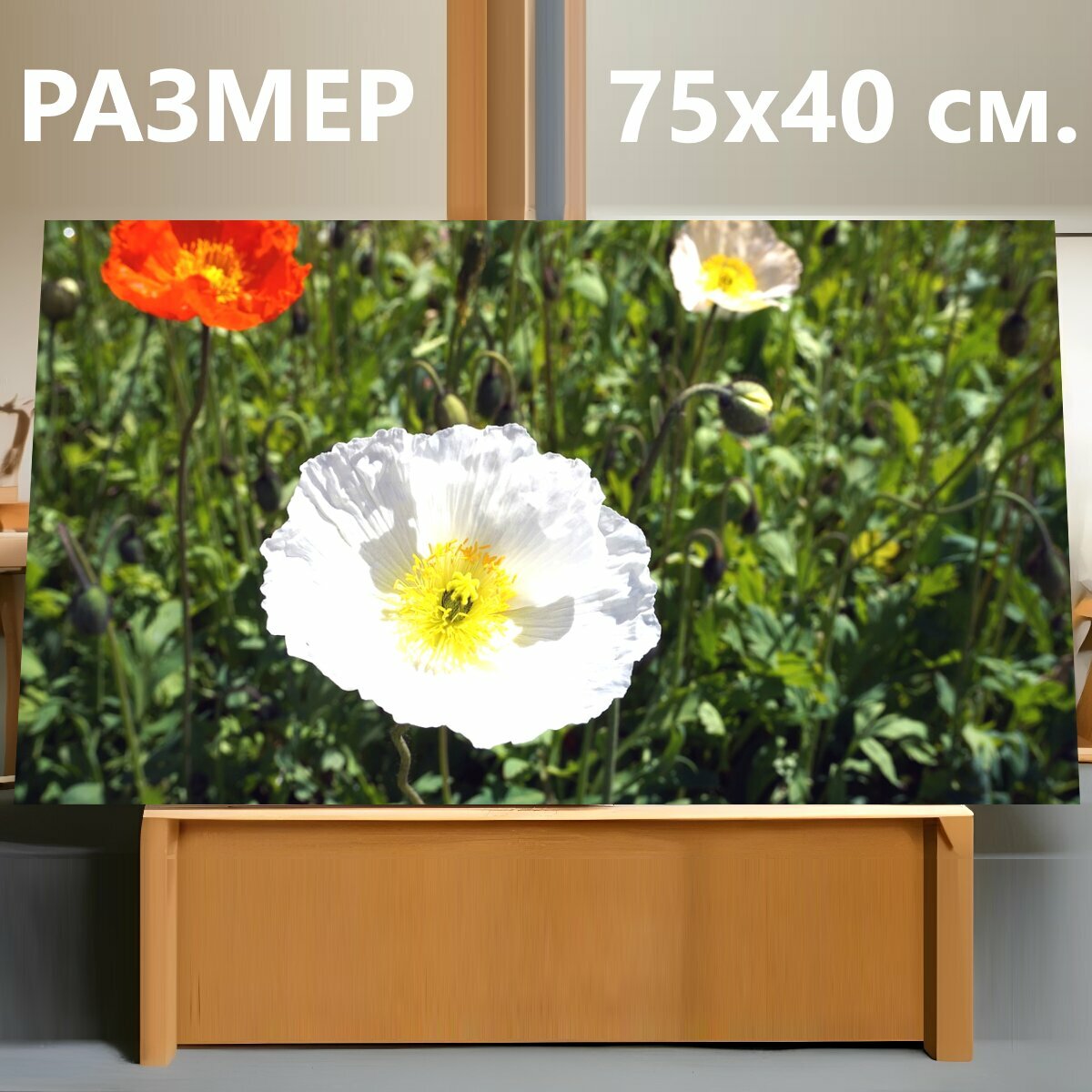 Картина на холсте "Цветок, белый, белый цветок" на подрамнике 75х40 см. для интерьера