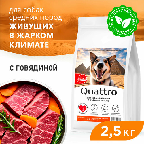 Корм сухой для взрослых собак средних пород, премиум полнорационный комплекс, для живущих в жарком климате, с говядиной, 2,5 кг, QUATTRO