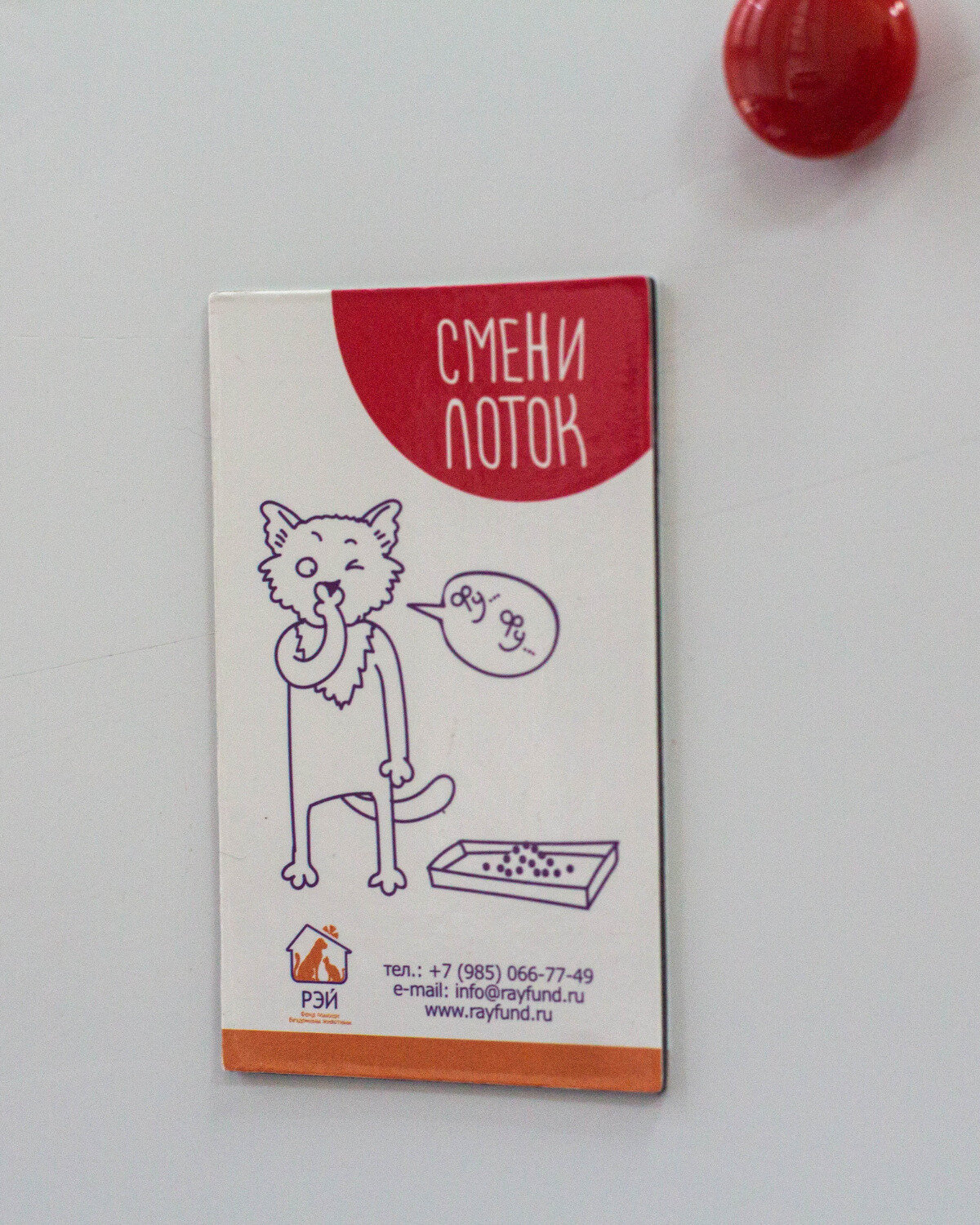Магнит двусторонний "Лоток чист/смени лоток" - фонд РЭЙ — фото 1
