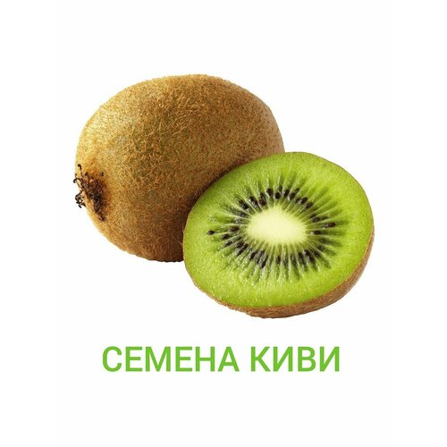 Семена киви