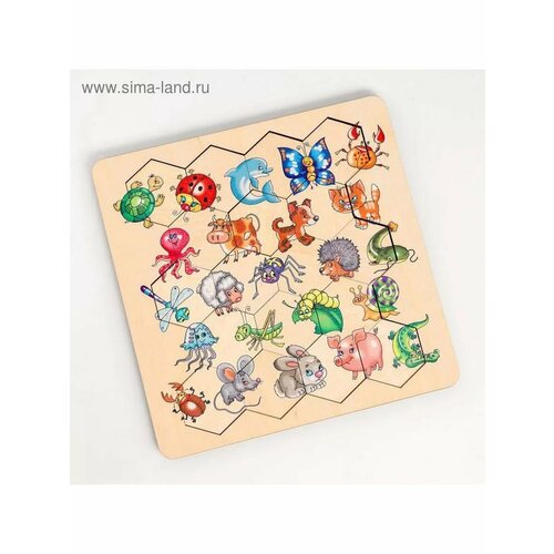 Пазл деревянный Занимательные соты 818₽