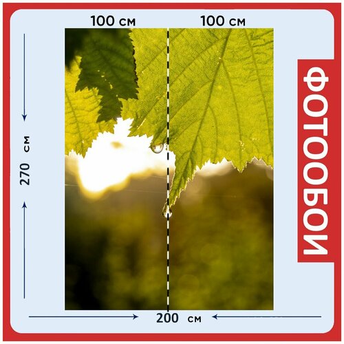 Фотообои Природа зеленый завод 200x270 см флизелиновыена стену 2940₽