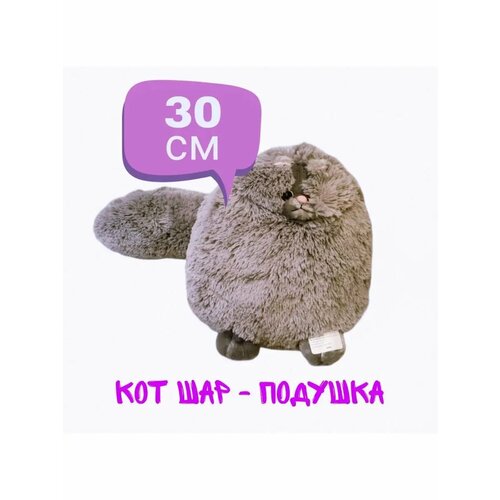 Персидский Кот Шар Беляш