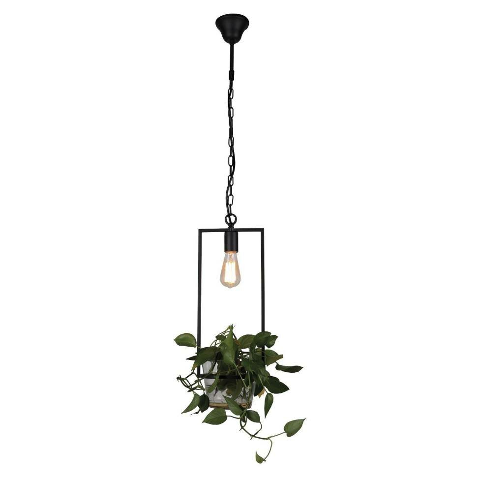 Favourite 1975-1P, подвес, D205xH600/1600, 1xE27x60W, excluded