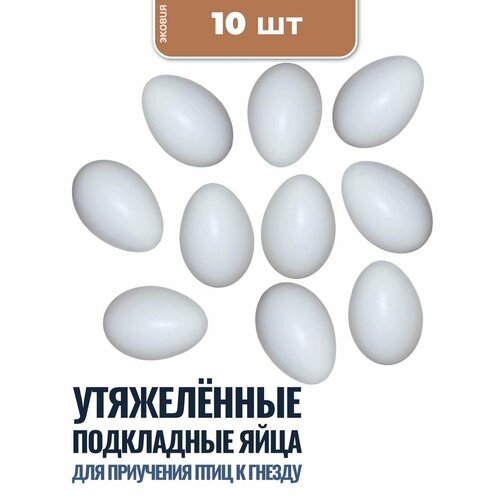 Подкладное яйцо для голубей ветспектрум, 5 шт