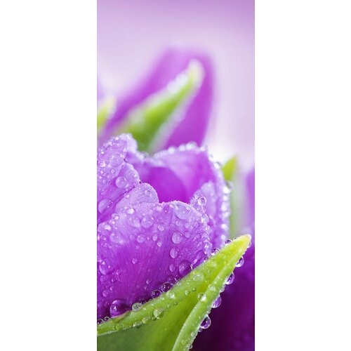 Самоклеящиеся фотообои 