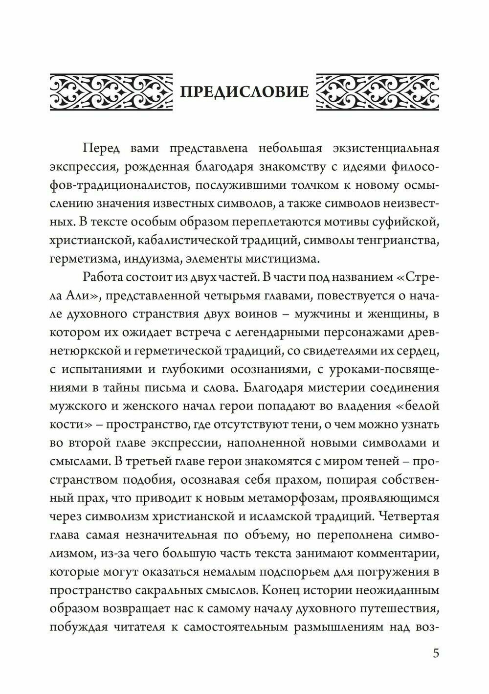 Стрела Али (Седанкина Татьяна Евгеньевна) - фото №3