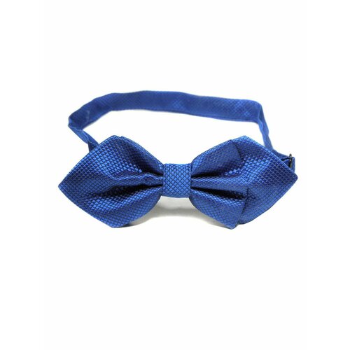 Бабочка , синий