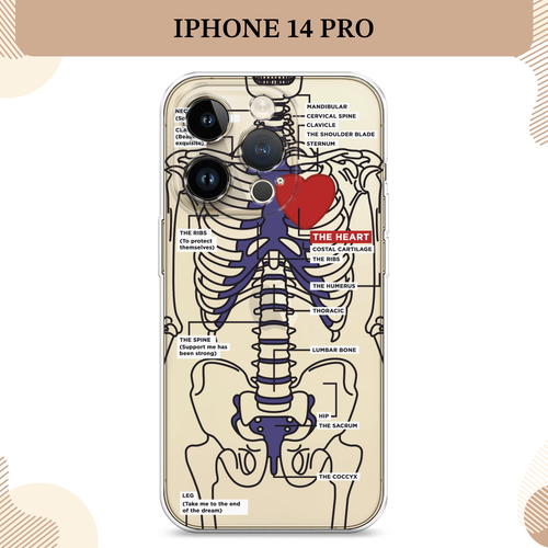 синий, бесцветный, красный