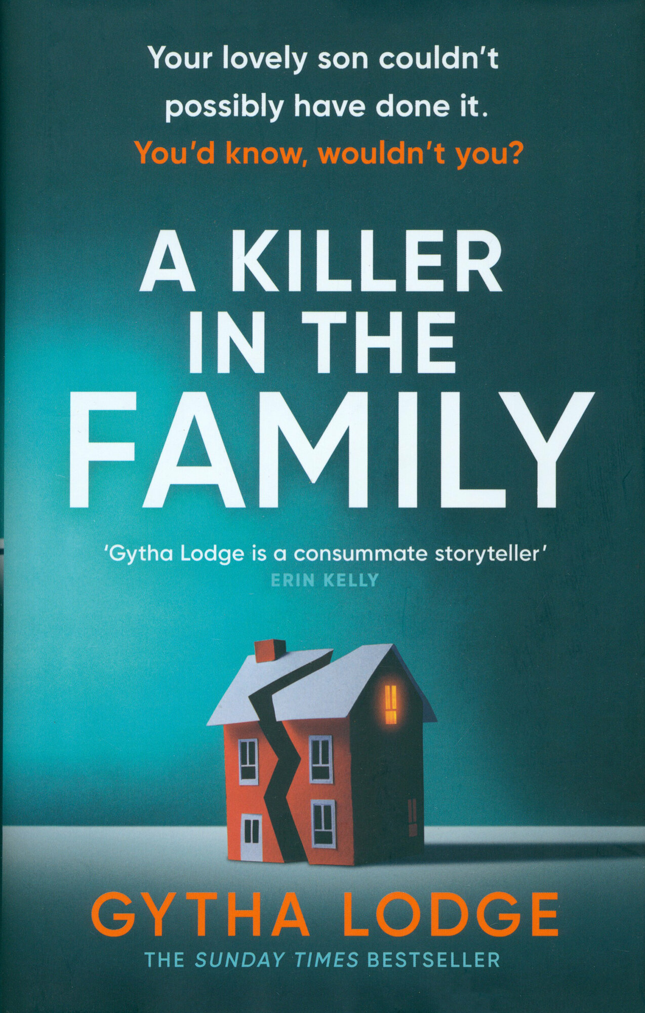 A Killer in the Family / Книга на Английском - фото №1