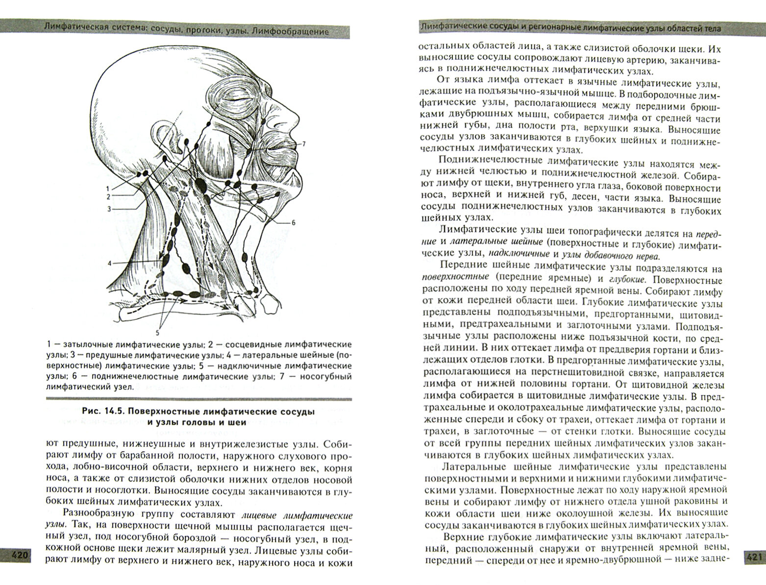 Анатомия и физиология человека: учебное пособие - фото №2