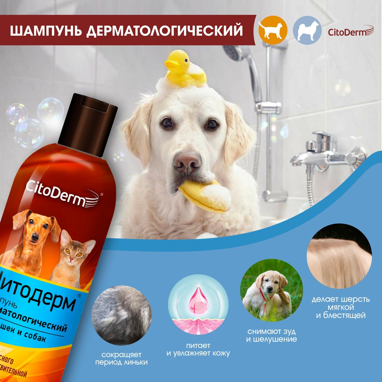 Шампунь CitoDerm для кошек Дерматологический для чувствительной кожи, 200мл - фото №8