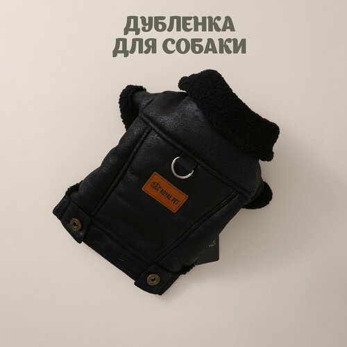 Дубленка для собак XL
