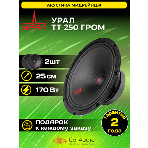 Эстрадная акустика урал ТТ 250 гром 2 шт 25 см 10 340170Вт 561800₽