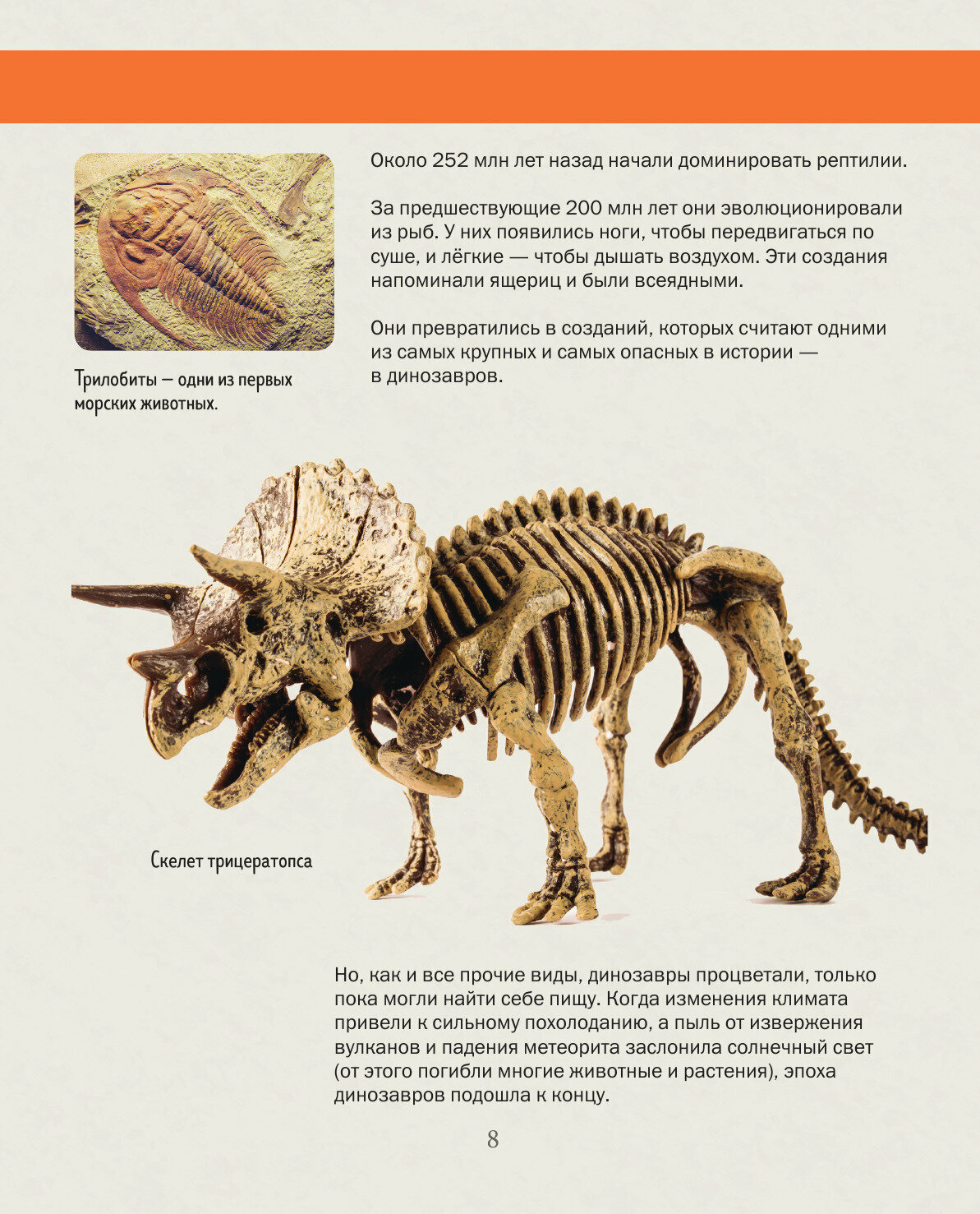 История жизни на Земле От бактерии до человека - фото №15