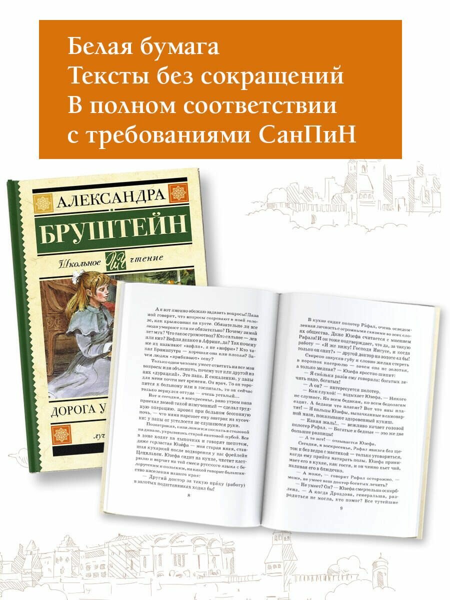 Дорога уходит в даль… Повесть (Бруштейн Александра Яковлевна) - фото №6