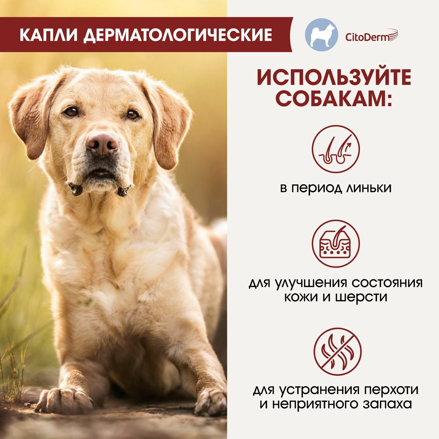 Капли дерматологические CitoDerm для собак 10-30 кг, 4 пипетки по 3мл - фото №9