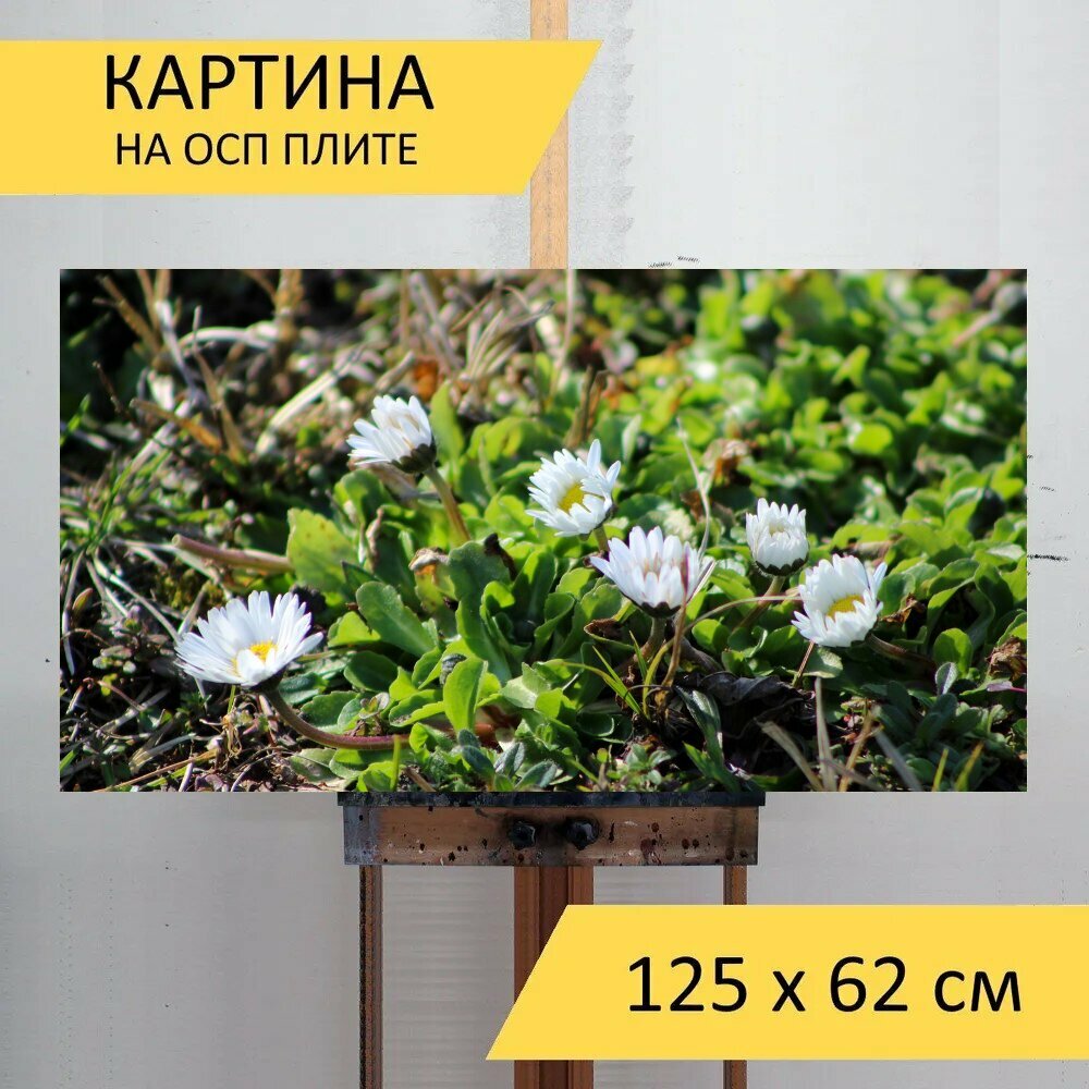 Картина на ОСП 125х62 см. "Природа, природа растения, цветы" горизонтальная, для интерьера, с креплениями