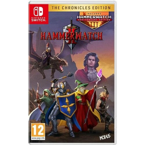 Игра Hammerwatch II (2): The Chronicles Edition (Nintendo Switch, Английская версия)