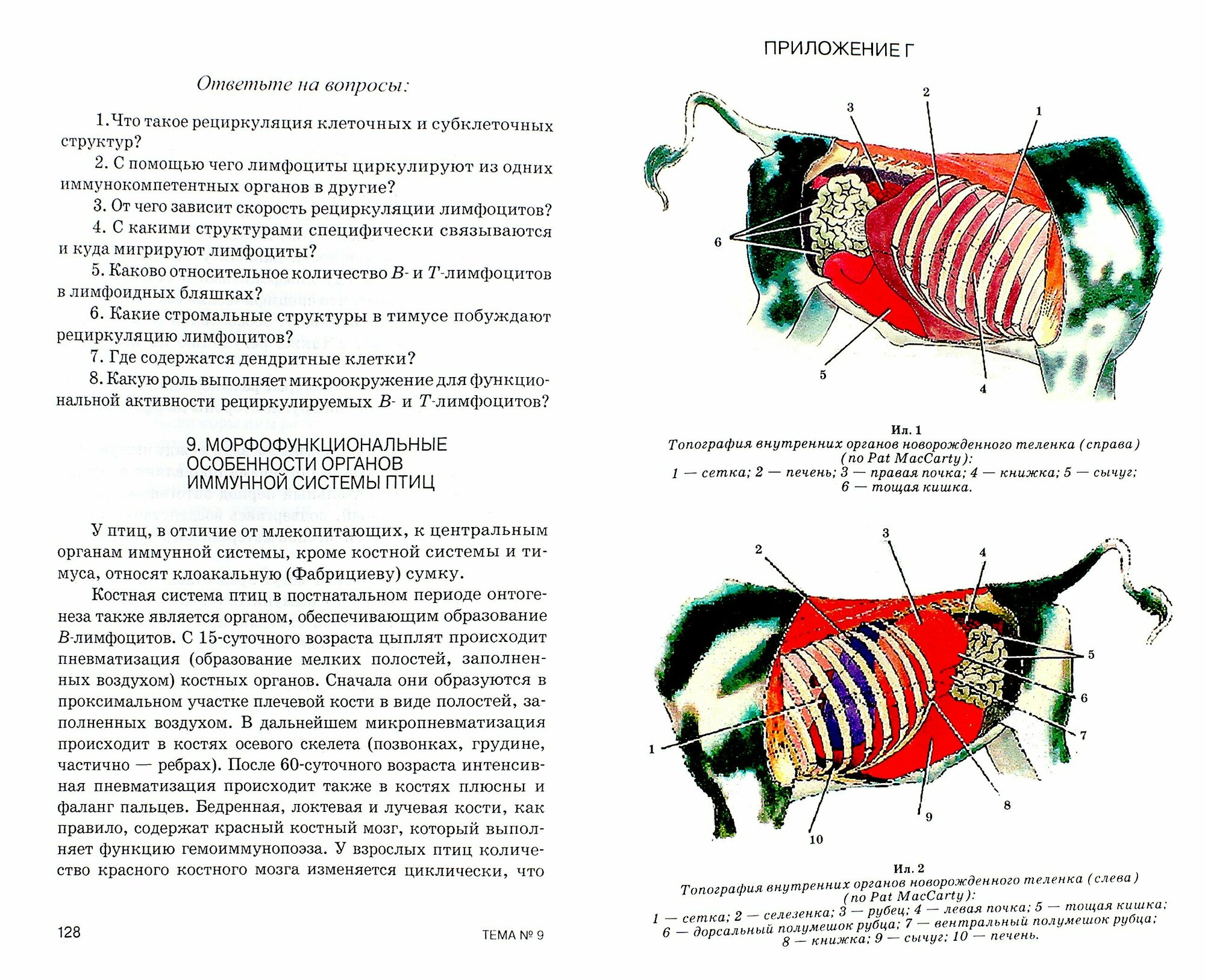 Изучение анатомии на животных с основами иммуноморфологии. Учебное пособие - фото №2