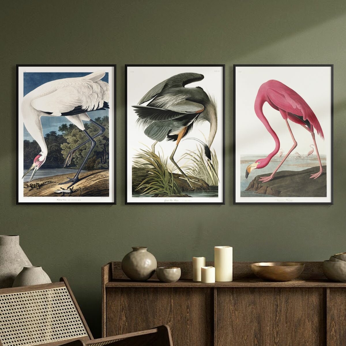Постер 3 шт 30х40 без рамки "Птицы иллюстрации" набор картин для интерьера