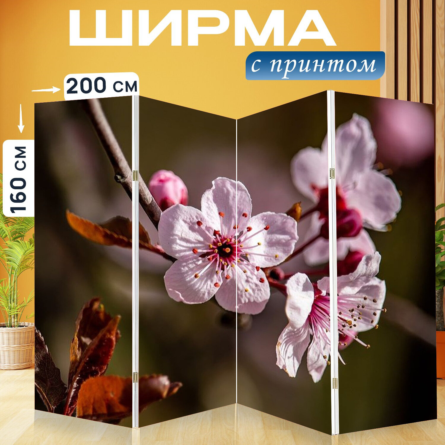 Ширма перегородка с принтом "Весна, цветы, белый" на холсте - 200x160 см. для зонирования, раскладная