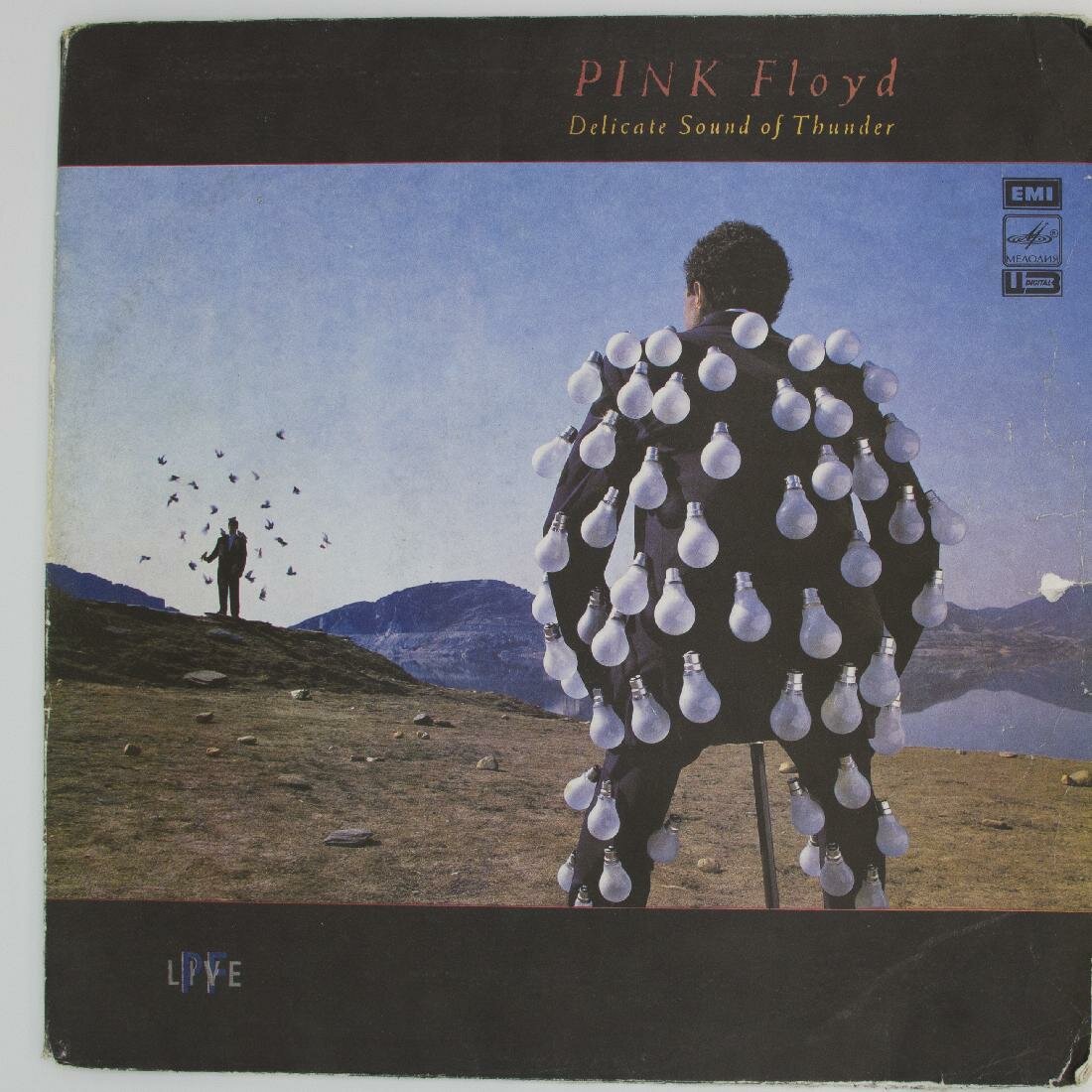 Виниловая пластинка Pink Floyd - Delicate Sound Of Thunder