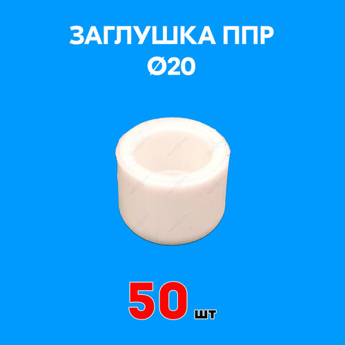 Заглушка полипропиленовая 20 (50 шт)