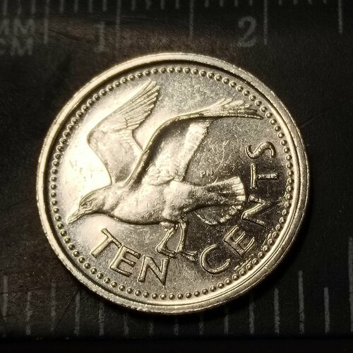 10 центов 1996 барбадос из оборота Барбадос 10 центов. Альбатрос. AUNC
