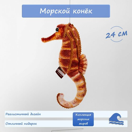 Мягкая игрушка морской конек, плюшевая, реалистичная, АБВГДЕЙКА, 24 см