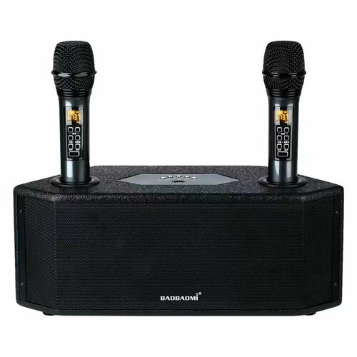 G6 Караоке колонка с двумя беспроводными микрофонами 10000₽