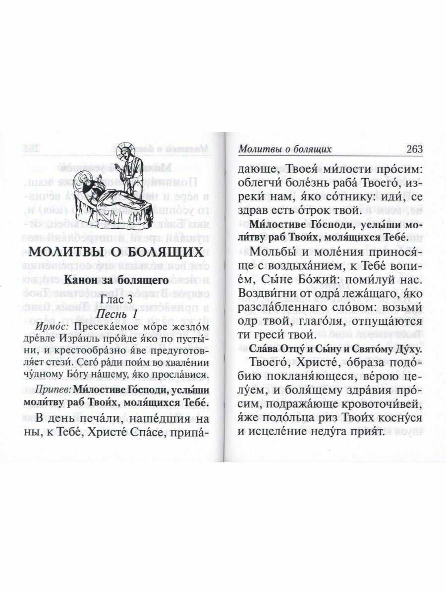 Молитвослов с молитвами о болящих. Православный - фото №13