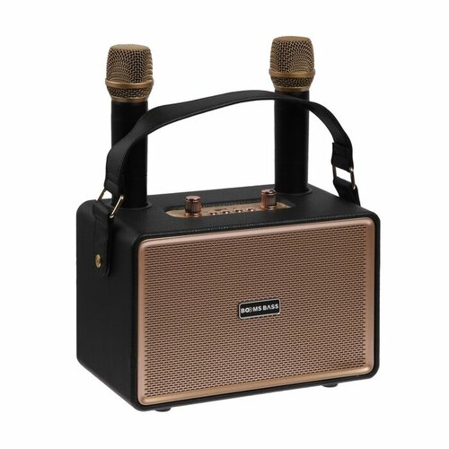 Портативная караоке система M4202 25 Вт 3600 мАч 2 микрофона чёрная 768200₽