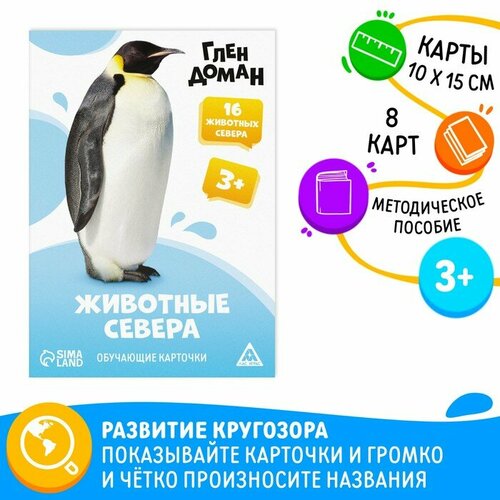 Обучающие карточки по методике Глена Домана Животные севера 8 карт 3 393₽