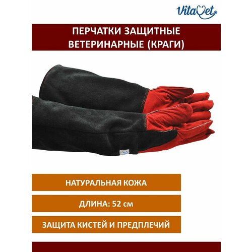 Защитные удлиненные перчатки (краги) VitaVet PRO для ветеринарных врачей, 1 пара
