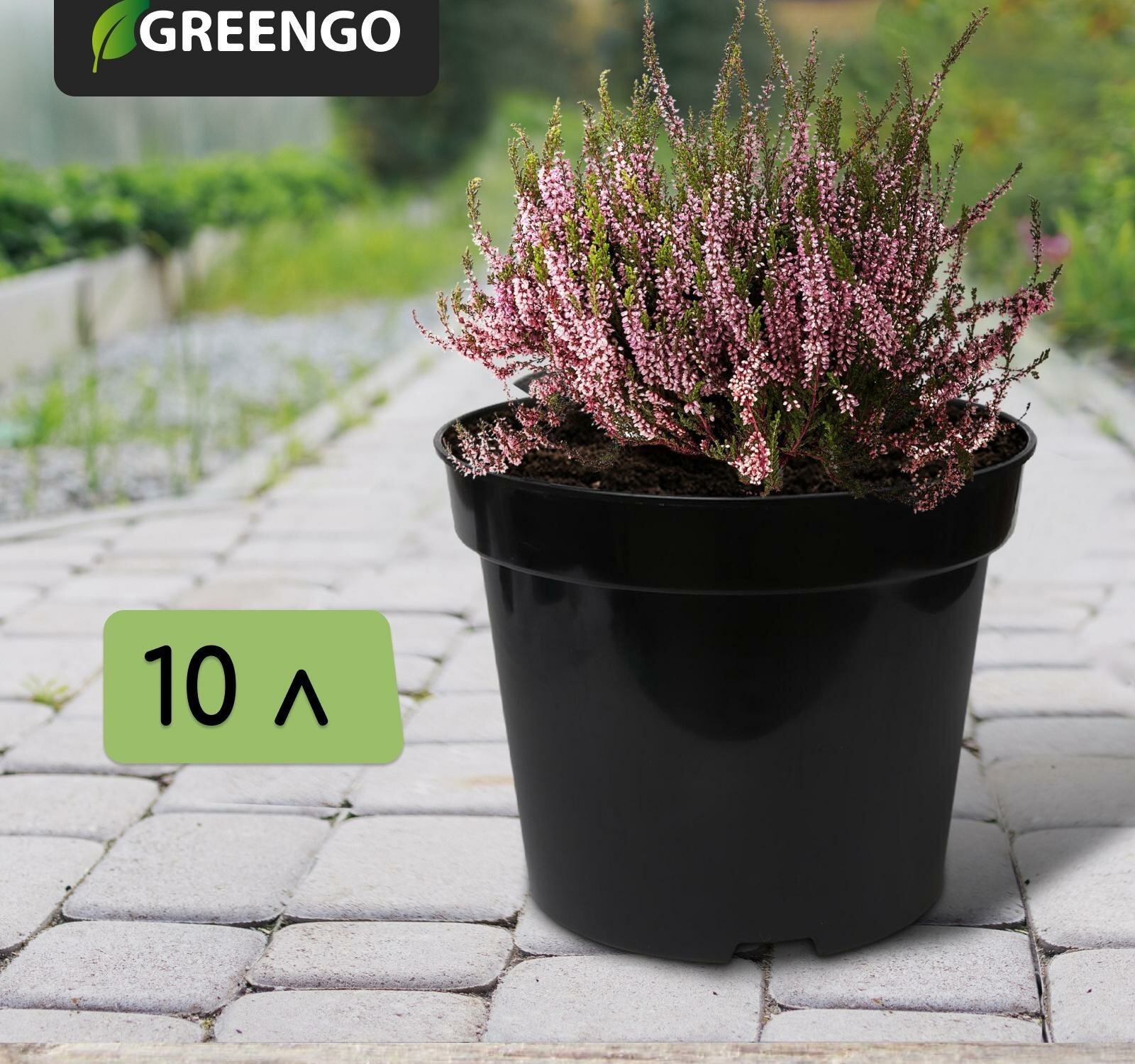 Горшок для рассады 10 л d 29 см h 225 см чёрный Greengo