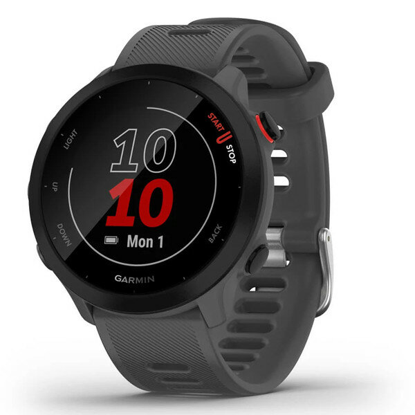 Умные часы Garmin Forerunner 55 серые (010-02562-13)