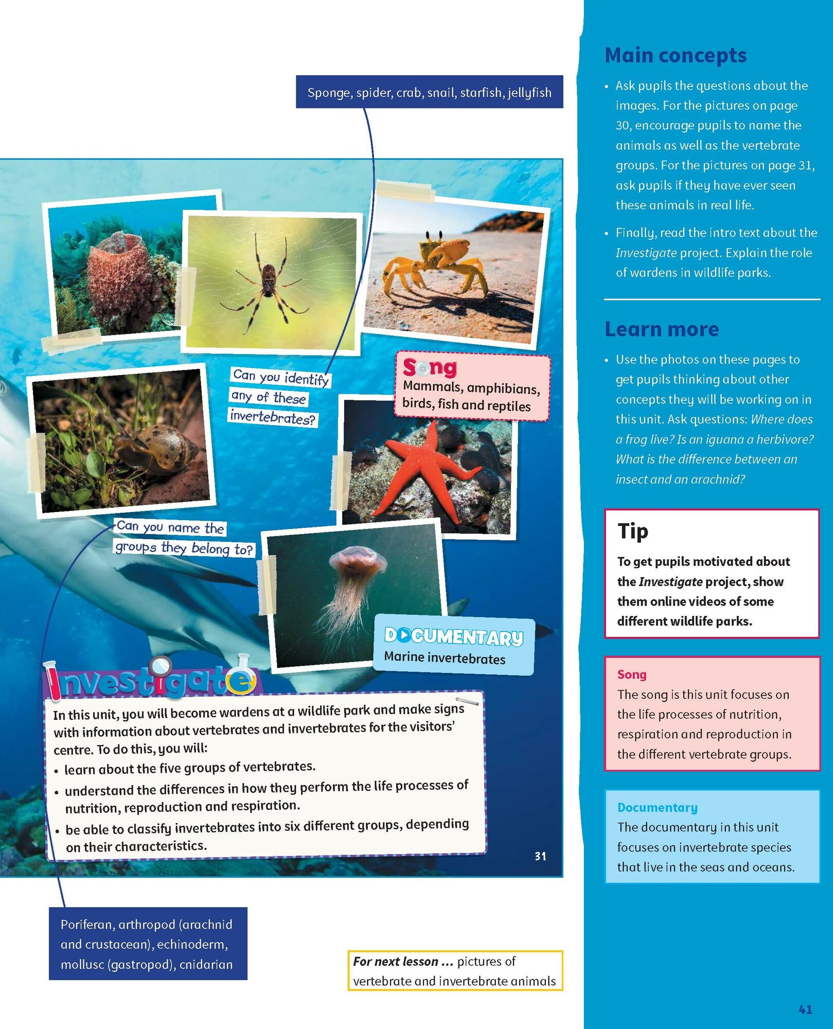 Science Skills. Level 4. Teacher's Book with Downloadable Audio - фото №9