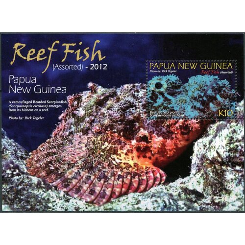 Папуа Новая Гвинея. 2012. Рифовые рыбы (Блок. MNH OG)