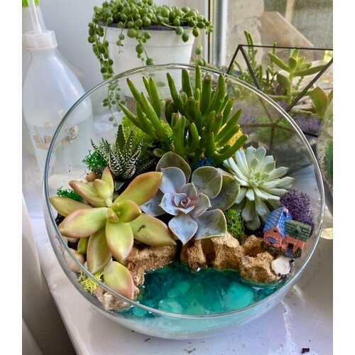 Флорариум «домик в саду» с имитацией воды King Florik