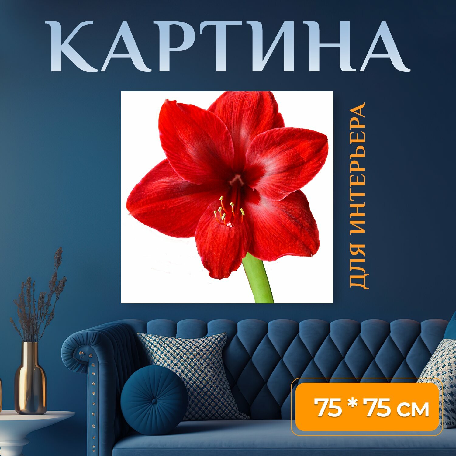 Картина на холсте "Амариллис, красный, цвести" на подрамнике 75х75 см. для интерьера