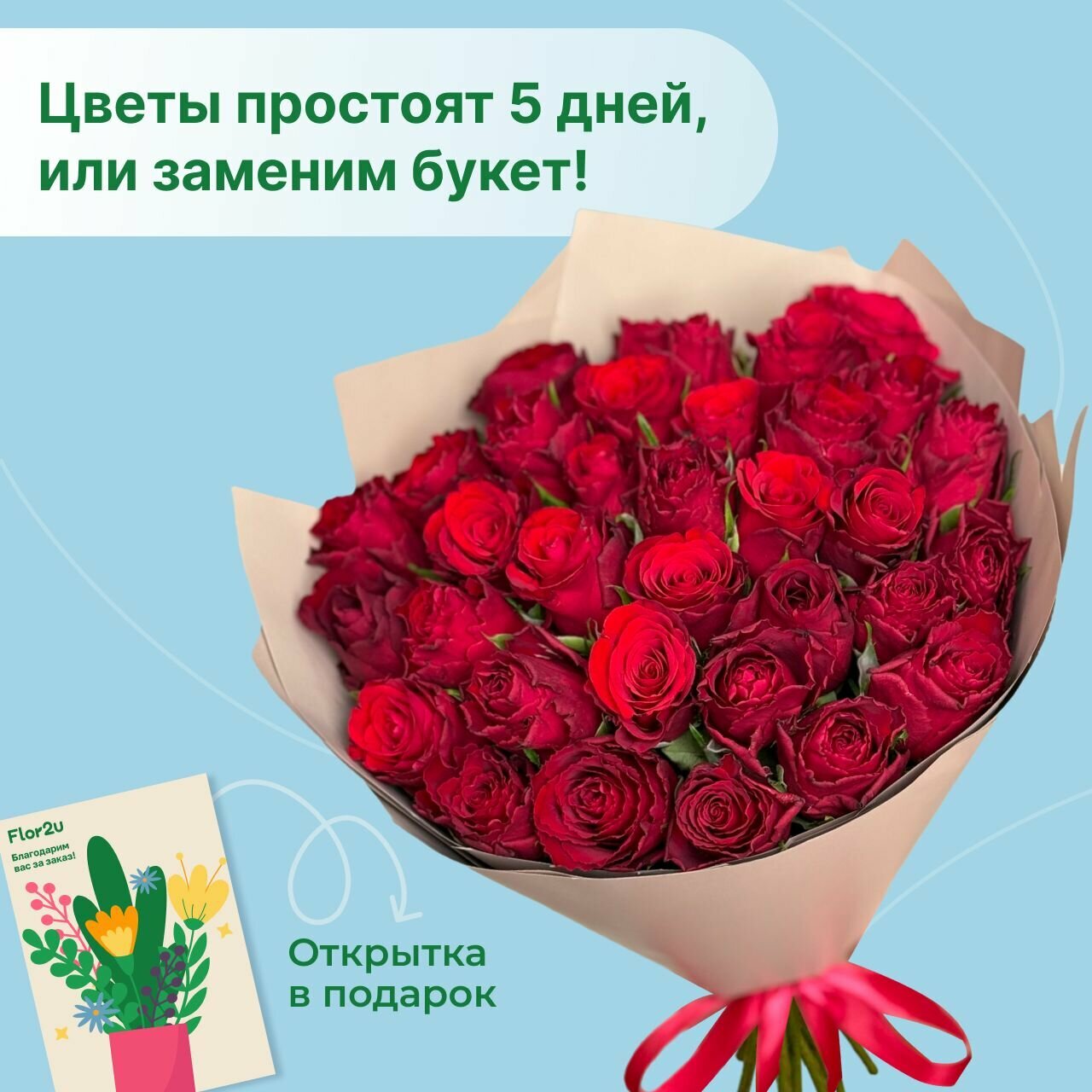 Цветы живые букет из 35 красных роз 35 см в упаковке Flor2u