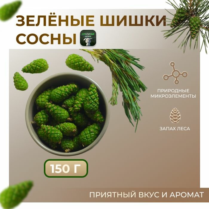фото Зеленые сосновые шишки для варенья, настоек, отваров. Шишки сосны упаковка - 150 грамм.